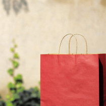 Food material gift bag gift packaging bag red end of the year festive gift bag large