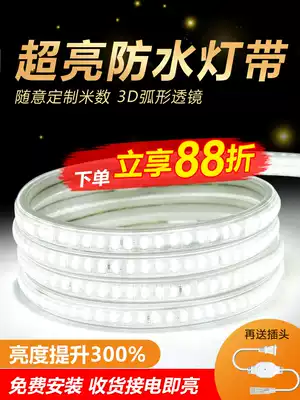 LED light strip living room household 220V suspended ceiling three-color decoration outdoor super bright waterproof neon line light card slot