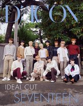 (FULL PARAGRAPH) SEVENTEEN IDEAL CUT DICON WRITING TRUE