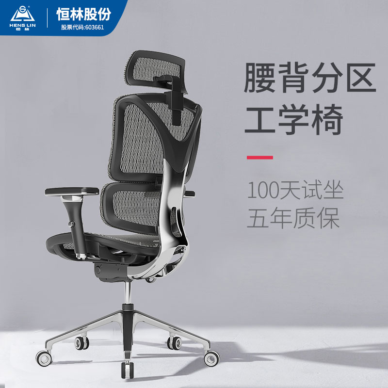 Henglin Ergonomic Chair Computer Chair Home Ergonomic Office Chair Comfort lying Boss Chair Electric Race Chair