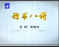 Simple package: Zhang XuguangEight Lectures in Running Script38 lectures 5DVD CD-rom - - - Lecture on the techniques of Running Script Holy Teaching Preface
