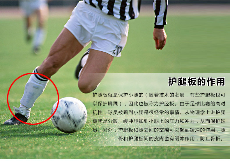 Protection sport - Ref 582153 Image 7