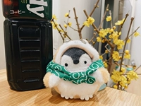 Шиба Ину Пингвин