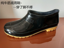 Beef Tendon Bottom Low Helps Water Shoes Men Short Barrel Rain Shoes Waterproof Non-slip Kitchen With Shoes Anti-Oil Rubber Shoes Chefs Working Shoes