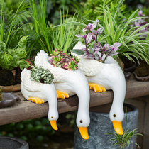 Creative Duck Flower Pot Garden Decoration Plant Multi-Meat Potted Florator Outdoor Patio Balcony Clog View Animal Mercy