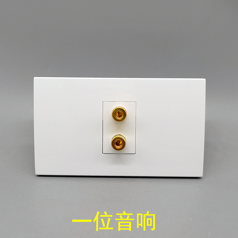 Type 120 One sound socket Panel Two-head 2-hole speaker 5 1 surround audio banana head socket panel