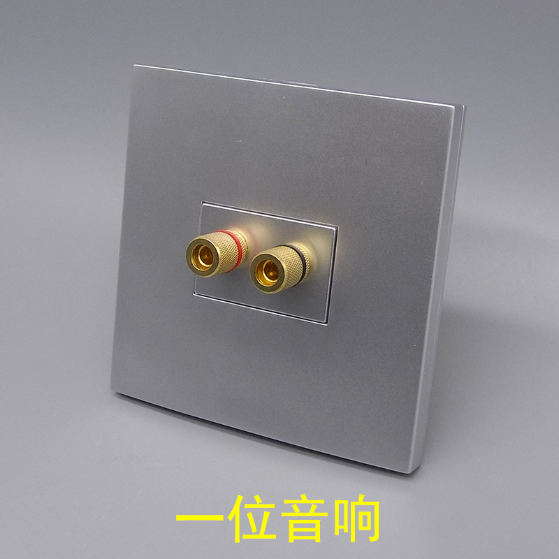 Silver gray type 86 one-bit audio panel double head 2-hole speaker silver 5.1 surround audio socket panel audio