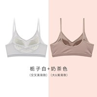 Gardenia White (Cross Beauty Back)+Цвет чая с молоком (Big U Beauty Back)