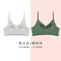 Gardenia White (Cross Beauty Back)+оливково -зеленый (Big U Beauty Back)