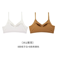 Gardenia White+Caramel Color [Big U Beauty Back]