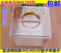 Supermarket snack box casual candy plastic display box food box bulk candy dried fruit box transparent with lid