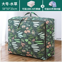 Большие пылезащитные водные растения