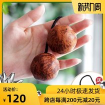  Rhythm sand ball Native to Africa Asalato Natural fragrant fruit tree fruit accompaniment Imported percussion instruments Buy 1 get 1 free