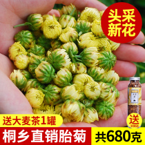 2 bags of a total of 500g chrysanthemum tea Tongxiang fetal chrysanthemum king authentic non-special grade Hang white chrysanthemum Gong chrysanthemum tea bulk Xinhua 1 catty