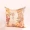 Vuông dệt tằm tơ cushion cover gối che 100% lụa rắn vuông gối giữ gối tay - Trở lại đệm / Bolsters