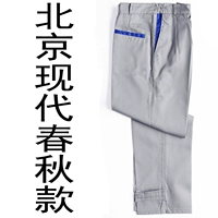 Осенние современные штаны