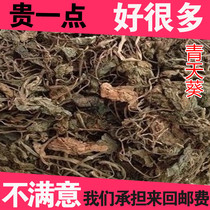 Green Sky Anemone Chinese Herbal Medicine Green Sky Sunflower Wild 500 gr Unique and Sunflower Pearl Leaf Half Umbrella Pendant