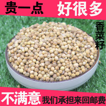 Chinese herbal medicine coriander huianemic rapeseed coriander coriander 500 gr catty