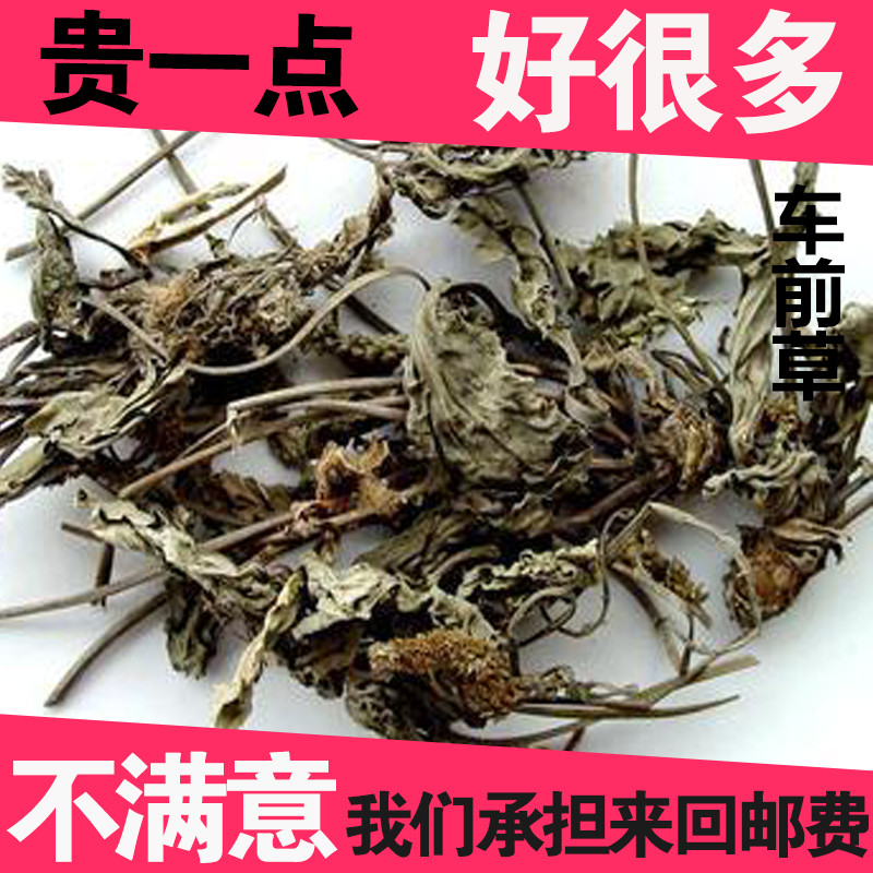 Herbal medicine plantain fresh plantain fresh plantain 1 catty RMB10  2 catties
