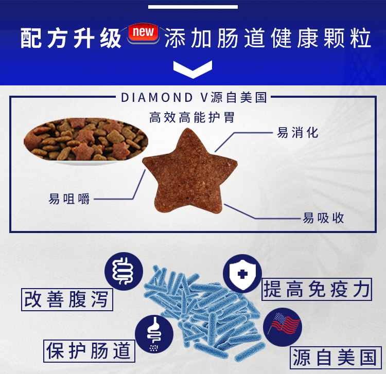 Thức ăn cho chó KINGJERRY Bichon cho chó trưởng thành lông trắng rách hơn chó gấu thức ăn đặc biệt 10 kg 5kg - Chó Staples smartheart puppy