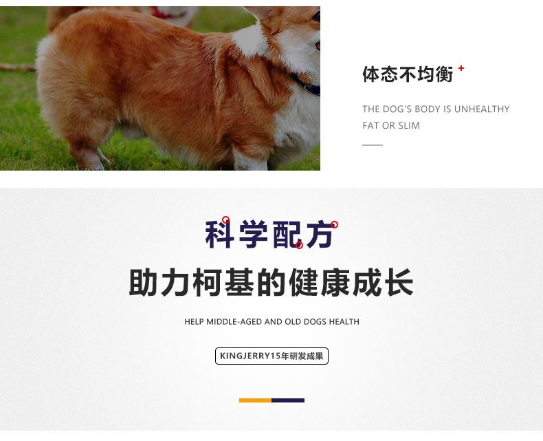 Chó Kingjerry Keji thức ăn cho chó đặc biệt chó con chó trưởng thành thức ăn cho chó FOS công thức 5 kg 2,5kg - Chó Staples thức ăn cho poodle