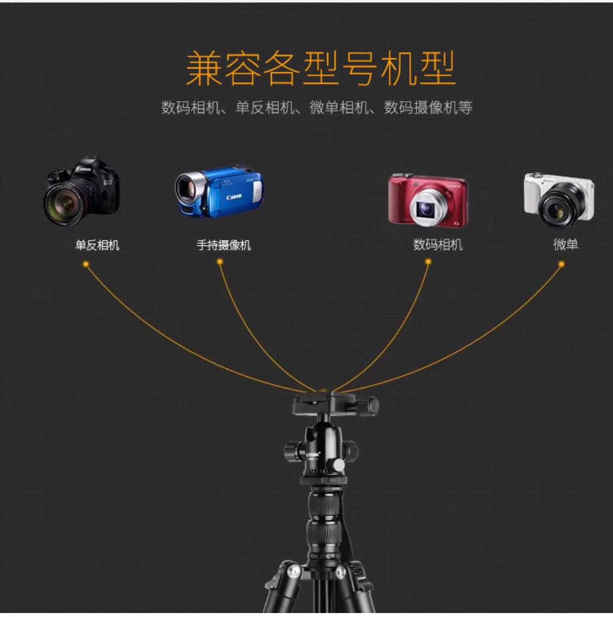 Chân máy ảnh ZoMei Q666 DSLR Canon 5D4 6D80D77D760D Camera 7D2 Đế di động - Phụ kiện máy ảnh DSLR / đơn benro t660ex
