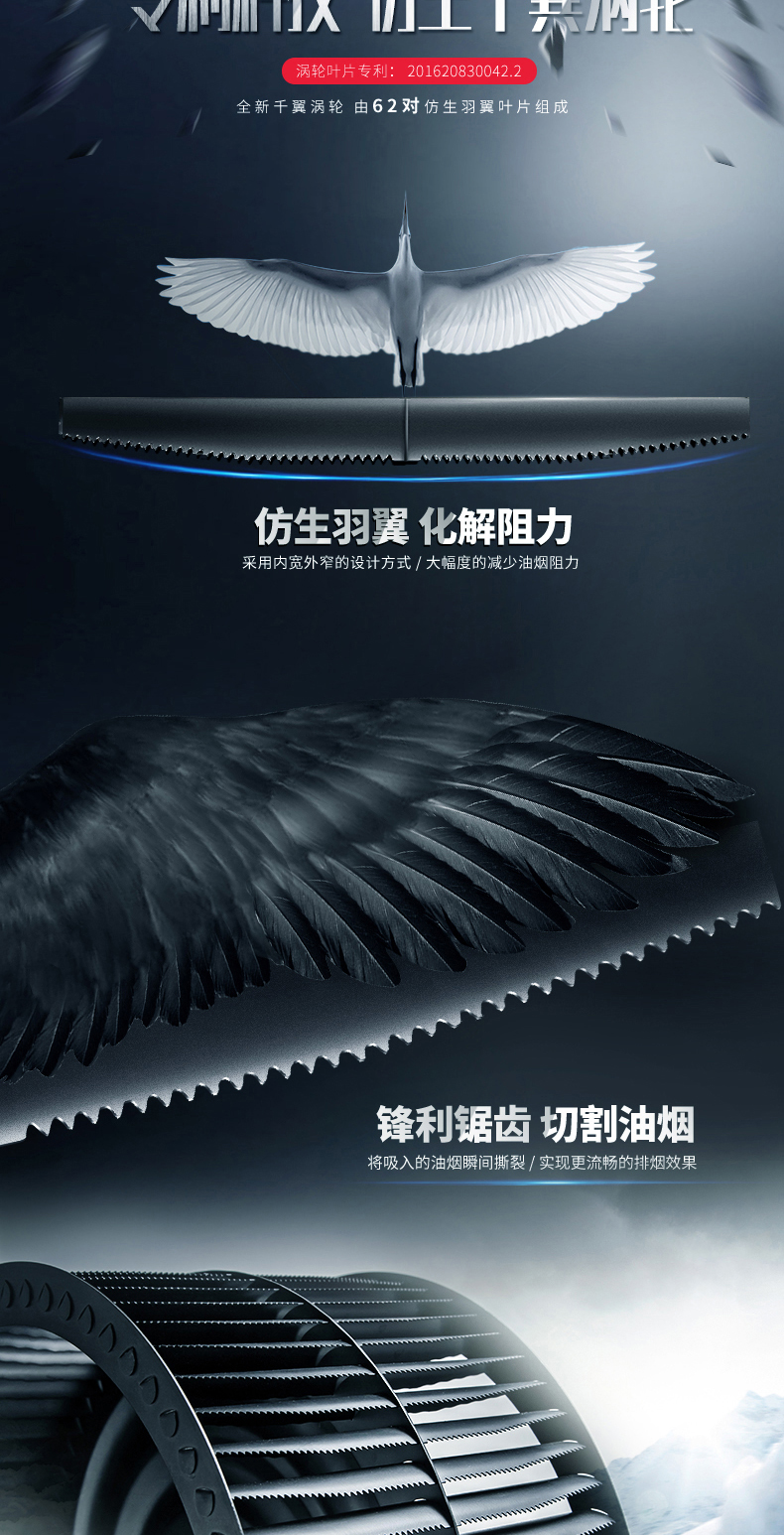 德意851t_02.jpg