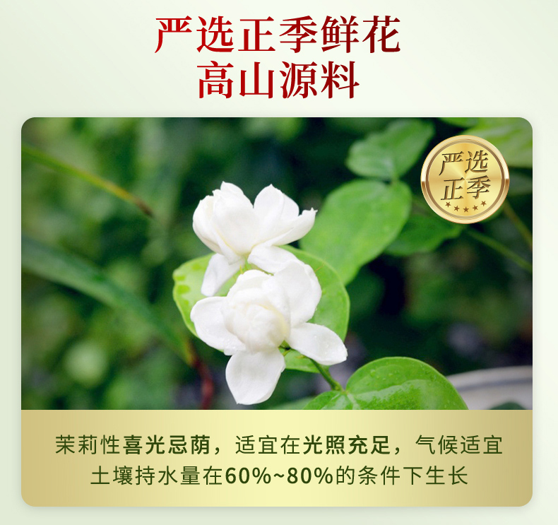 500g浓香型茉莉花茶罐装