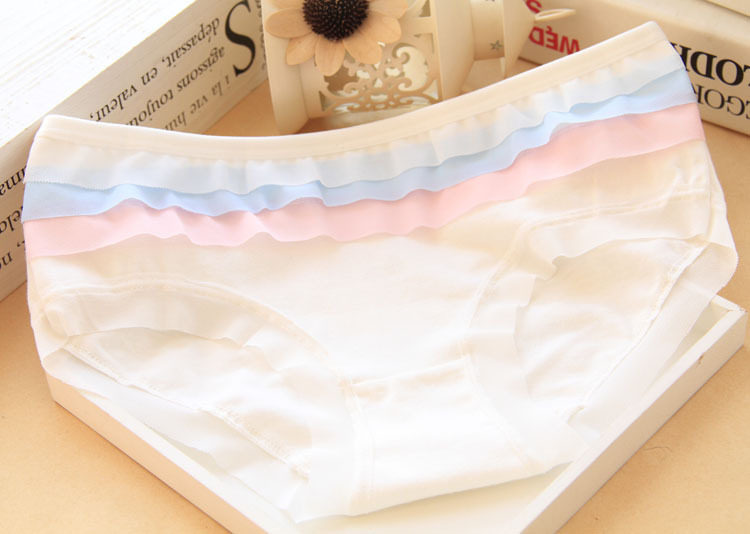 Slip jeune 100% en coton - Ref 653747 Image 57