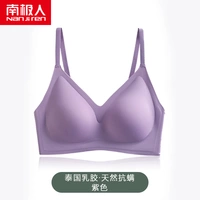 Dyt Purple