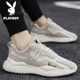 Playboy, трендовая универсальная зимняя обувь для отдыха, 2020, осенняя, в корейском стиле, для бега