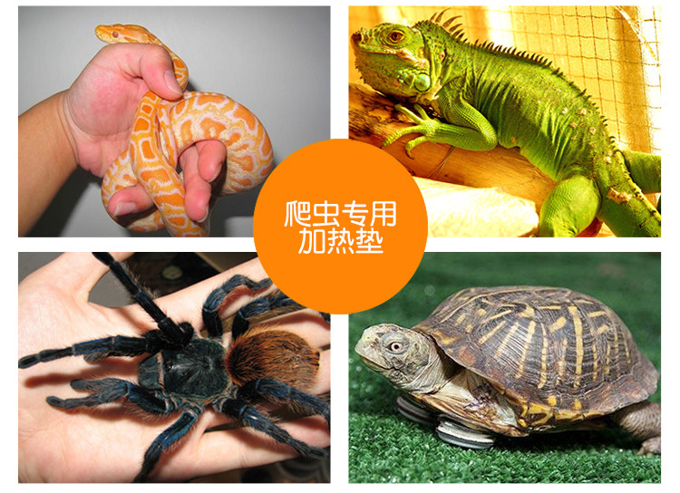 【碳丰石墨烯发热膜PET电热片PI加热膜取暖台