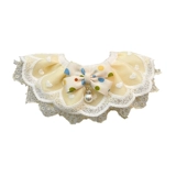 Кошка и собака окружают шею воротник рта полотенце полотенец