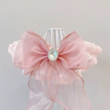 Кошка, собака, собака окружают воротнички для шейки и воротнички для шеи, марионеточная сине -белая британская короткая плюшевая биби -панда