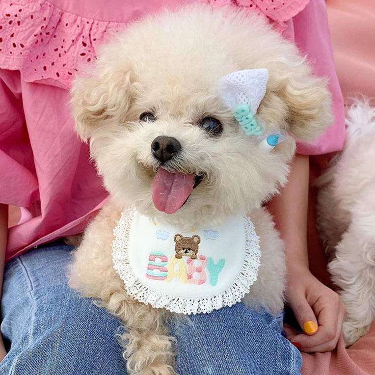 Pet scarf bib cat saliva towel dog triangle scarf Teddy Corgi Bixiong Ying short blue and white cute collar