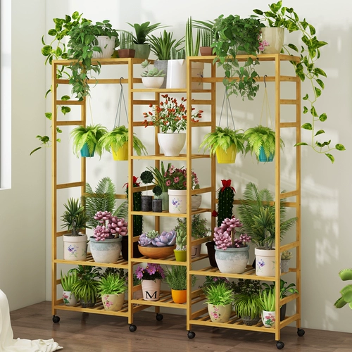 Шкаф на нанчжу -тип цветочных каркасных наборов многослойных слоев для увеличения внутренней балконы гостиной гостиная зеленый укроп