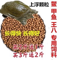 Turtle feed turtle feed Chinese soft turtle fish group small turtle feed King eight Pearl turtle turtle food