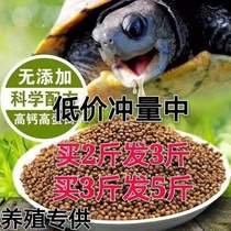 High calcium nutrition tortoise grain stone money turtle feed crocodile tortoise food Brazil turtle material small turtle Fry grain 1 Jin 3 Jin 5 Jin