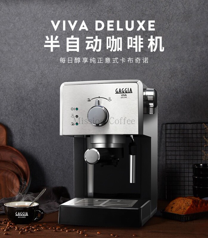 Gaggia Viva Deluxe Home Semi-Automatic Coffee Machine Home Cafe Imported from Italy