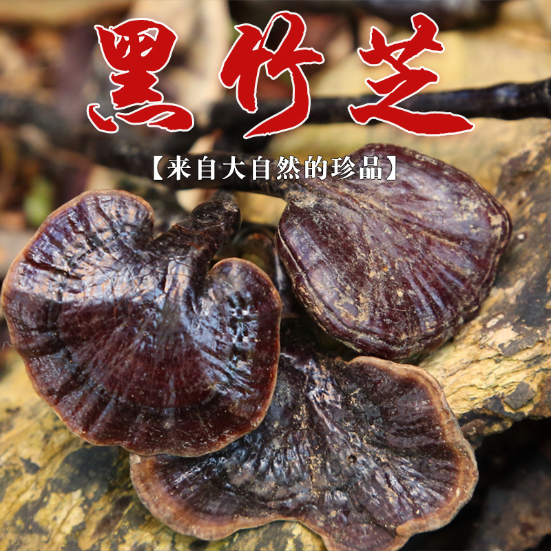 Hainan deep mountain wild black bamboo Ganoderma lucidum commonly known as shank Purple Zhi 50g