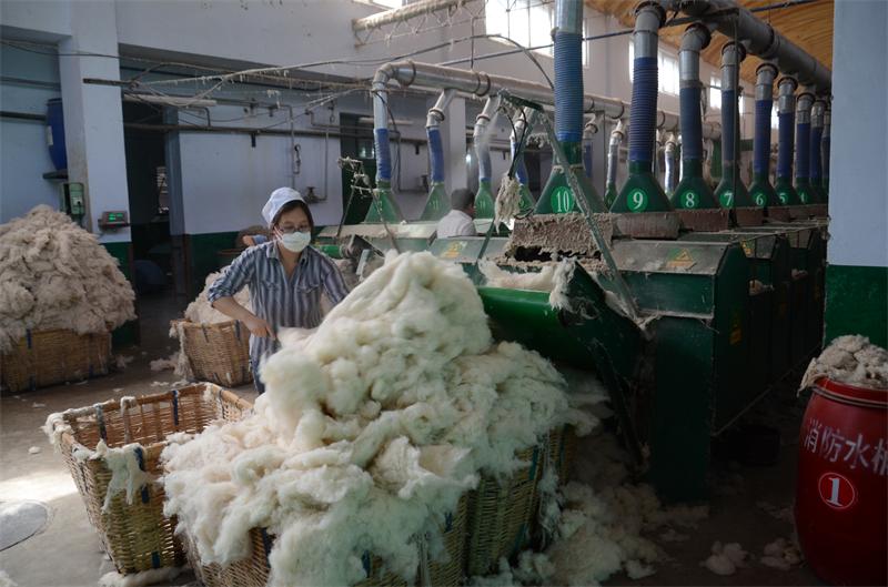 Chaussettes - collants - Ref 777960 Image 39