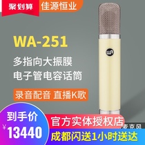Commercial Warm Audio WA251 recording studio large diaphragm electron tube microphone re-engraved De Lu Fenggen M251E