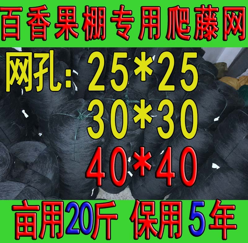 Paskind fruit frame special fruit net planting net greenhouse vine crawling net scaffolding net net wo citrus net melon bean net