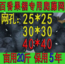 Bagel Fruit Hitch Special Fruit Mesh Planting Mesh Greenhouse Vine Climbing Nets Climbing Mesh Scaffolding Subnets Werknet Melon Bean Nets