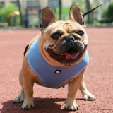 Truelove Мягкий и дышащий спина плюшевая плюшка Corgi Pet Dog Dog Fighting Bound Bess Smart Medium Size Byster