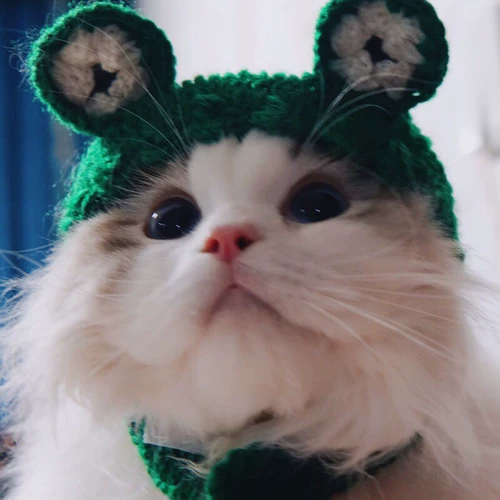 Pet Hate милая форма формы лягушки, шляпа, кошачья шляпа, голова для собак, головной убор