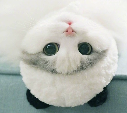 Шляпа Pet City Panda Form