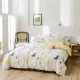 Chăn bông đơn mảnh 180 × 200 chăn bông học sinh 1,5m đôi 1,8 m giường 200 × 230 xuân hè - Quilt Covers