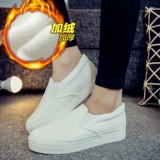 Универсальные тканевые туфли, обувь, кроссовки, 2022, тренд сезона, 2023