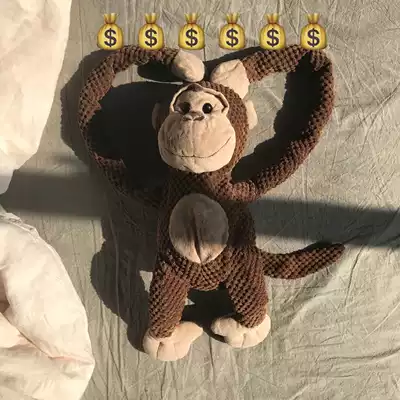 Fruit king cute little monkey